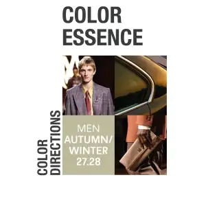 category image of the category “Color Essence”