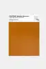 Product image 1 of the product “PANTONE® METALLIC SHIMMERS SHEET 20-0036 TPM Two Penny ”