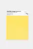 Product image 1 of the product “PANTONE® METALLIC SHIMMERS SHEET 20-0041 TPM Clarified Butter ”