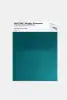 Product image 1 of the product “PANTONE® METALLIC SHIMMERS SHEET 20-0161 TPM Beetle Wing ”