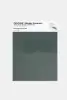 Product image 1 of the product “PANTONE® METALLIC SHIMMERS SHEET 20-0193 TPM Lichen Mist ”