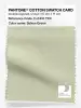 Product image 1 of the product “PANTONE® COTTON SWATCH CARD 11-0410 TCX Sylvan Green ”