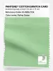 Artikelbild 1 des Artikels “PANTONE® COTTON SWATCH CARD 12-0225 TCX Patina Green “