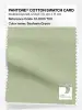 Product image 1 of the product “PANTONE® COTTON SWATCH CARD 12-0313 TCX Seafoam Green ”