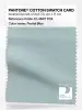 Product image 1 of the product “PANTONE® COTTON SWATCH CARD 12-4607 TCX Pastel Blue ”