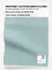 Product image 1 of the product “PANTONE® COTTON SWATCH CARD 12-5302 TCX Cooling Oasis ”