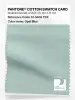 Artikelbild 1 des Artikels “PANTONE® COTTON SWATCH CARD 12-5406 TCX Opal Blue “