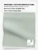 Product image 1 of the product “PANTONE® COTTON SWATCH CARD 12-6206 TCX Fairest Jade ”