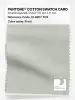 Product image 1 of the product “PANTONE® COTTON SWATCH CARD 12-6207 TCX Frost ”
