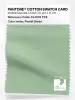 Artikelbild 1 des Artikels “PANTONE® COTTON SWATCH CARD 13-0116 TCX Pastel Green “