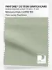 Artikelbild 1 des Artikels “PANTONE® COTTON SWATCH CARD 13-0210 TCX Fog Green “