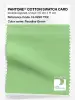 Product image 1 of the product “PANTONE® COTTON SWATCH CARD 13-0220 TCX Paradise Green ”