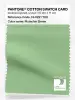 Product image 1 of the product “PANTONE® COTTON SWATCH CARD 13-0221 TCX Pistachio Green ”