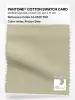 Product image 1 of the product “PANTONE® COTTON SWATCH CARD 13-0513 TCX Frozen Dew ”