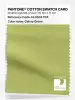 Product image 1 of the product “PANTONE® COTTON SWATCH CARD 13-0532 TCX Celery Green ”