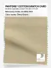 Product image 1 of the product “PANTONE® COTTON SWATCH CARD 13-0613 TCX Chino Green ”