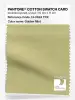 Product image 1 of the product “PANTONE® COTTON SWATCH CARD 13-0624 TCX Golden Mist ”