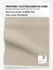 Product image 1 of the product “PANTONE® COTTON SWATCH CARD 13-0908 TCX Parchment ”