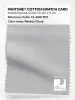 Product image 1 of the product “PANTONE® COTTON SWATCH CARD 13-4108 TCX Nimbus Cloud ”