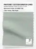Product image 1 of the product “PANTONE® COTTON SWATCH CARD 13-5305 TCX Pale Aqua ”