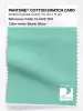 Product image 1 of the product “PANTONE® COTTON SWATCH CARD 13-5412 TCX Beach Glass ”