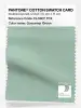 Product image 1 of the product “PANTONE® COTTON SWATCH CARD 13-5907 TCX Gossamer Green ”