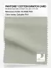 Product image 1 of the product “PANTONE® COTTON SWATCH CARD 13-6105 TCX Celadon Tint ”
