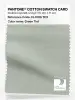 Product image 1 of the product “PANTONE® COTTON SWATCH CARD 13-6106 TCX Green Tint ”