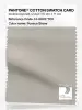 Product image 1 of the product “PANTONE® COTTON SWATCH CARD 14-0002 TCX Pumice Stone ”