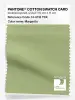 Product image 1 of the product “PANTONE® COTTON SWATCH CARD 14-0116 TCX Margarita ”