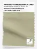 Product image 1 of the product “PANTONE® COTTON SWATCH CARD 14-0615 TCX Green Haze ”