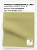 Product image 1 of the product “PANTONE® COTTON SWATCH CARD 14-0627 TCX Shadow Green ”
