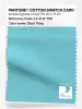 Product image 1 of the product “PANTONE® COTTON SWATCH CARD 14-4714 TCX Clear Tides ”