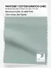 Artikelbild 1 des Artikels “PANTONE® COTTON SWATCH CARD 14-4807 TCX Surf Spray “
