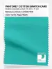 Product image 1 of the product “PANTONE® COTTON SWATCH CARD 14-5125 TCX Aqua Wash ”