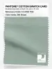 Product image 1 of the product “PANTONE® COTTON SWATCH CARD 14-5706 TCX Silt Green ”