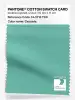 Product image 1 of the product “PANTONE® COTTON SWATCH CARD 14-5713 TCX Cascade ”