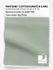 Product image 1 of the product “PANTONE® COTTON SWATCH CARD 14-6007 TCX Sea Foam ”
