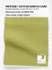 Product image 1 of the product “PANTONE® COTTON SWATCH CARD 15-0533 TCX Linden Green ”