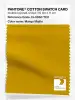 Product image 1 of the product “PANTONE® COTTON SWATCH CARD 15-0960 TCX Mango Mojito ”