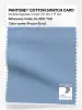Product image 1 of the product “PANTONE® COTTON SWATCH CARD 15-3917 TCX Frozen Fjord ”