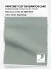 Artikelbild 1 des Artikels “PANTONE® COTTON SWATCH CARD 15-5205 TCX Aqua Gray “