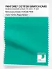Product image 1 of the product “PANTONE® COTTON SWATCH CARD 15-5421 TCX Aqua Green ”