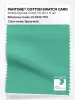 Product image 1 of the product “PANTONE® COTTON SWATCH CARD 15-5819 TCX Spearmint ”