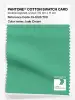 Product image 1 of the product “PANTONE® COTTON SWATCH CARD 15-6123 TCX Jade Cream ”