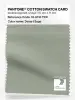 Product image 1 of the product “PANTONE® COTTON SWATCH CARD 16-0110 TCX Desert Sage ”