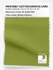 Product image 1 of the product “PANTONE® COTTON SWATCH CARD 16-0439 TCX Spinach Green ”
