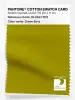 Product image 1 of the product “PANTONE® COTTON SWATCH CARD 16-0541 TCX Green Envy ”