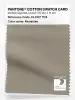 Artikelbild 1 des Artikels “PANTONE® COTTON SWATCH CARD 16-1107 TCX Aluminum “