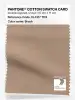Artikelbild 1 des Artikels “PANTONE® COTTON SWATCH CARD 16-1317 TCX Brush “